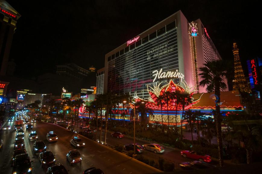 How the Flamingo Became a Symbol