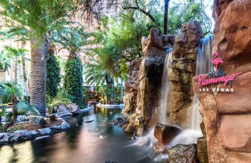 The Flamingo Habitat